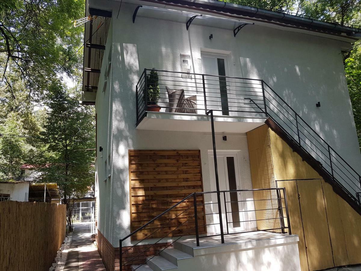 Apartament Forest Apartman Makó Zewnętrze zdjęcie